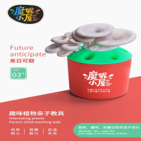 魔妮小屋家庭早教亲子互动自然玩具教具