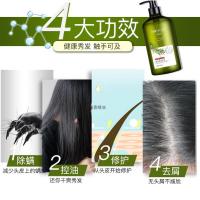 问荆荨麻洗发水异株荨麻洗发水洗头头皮控油去头屑换无硅油的问荆荨麻 500ml