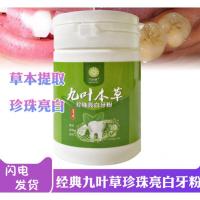 九叶本洗牙粉九叶牙齿速效去牙烟牙黑渍牙垢牙斑净洗牙粉液牙贴白牙素