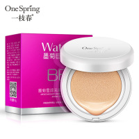 优品精选一枝春墨菊雪润无瑕气垫bb霜打底cc霜水润隔离粉底液化妆品 象牙白正装15g