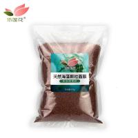 新款院简装天然海藻面膜大颗粒500g 补水保湿亮肤纯海藻泥清洁温和孕妇睡眠面膜 500g