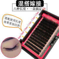 新款 不易变形柔软8-13mm混装 单根用种植假眼睫毛 嫁接睫毛