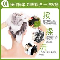 昌义生态纯泡泡一洗黑染发剂植物天然洗发水染头一支黑泡沫染发膏