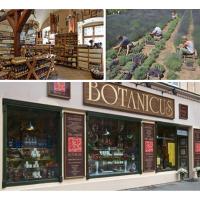 七七 捷克botanicus菠丹妮涂抹式洋甘菊面膜舒缓修复角质层