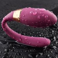 DiBe 隐形穿戴式内裤遥控成人情趣性用品静音女用具高潮缩球SM夫妻情趣工具另类玩具跳弹