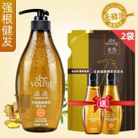 资源生姜强根护发素滋源无硅油生姜强根健发洗发水护发素535ml套装男女士洗头膏 生姜油性535ml洗发水 (适合油性头皮