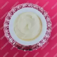 顶熙美肌素颜霜顶熙日霜晚霜日晚霜20g微商同款植物精华美颜