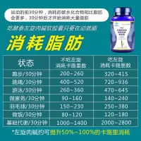 酵泰(JoTai)胶囊左旋肉碱茶多酚产品减肚子瘦腿品塑身专用