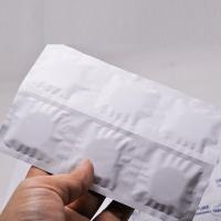 牙伴侣健之佳牙清洁片牙伴侣除渍 祛异味 薄荷味清新口气 有效