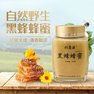 [彩康源]黑蜂蜂蜜248g/瓶正宗新疆深山野生百花黑蜂蜜结晶蜜