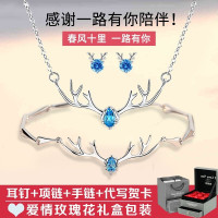 圣诞节送女友 手链项链耳钉一路有你首饰锁骨链浪漫结婚纪念日创意实用生日礼品女生女朋友老婆爱人