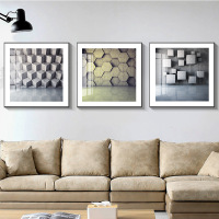 乔迁礼品北欧极简装饰画客厅黑白风格抽象3d立体沙发背景墙进口挂画极有家