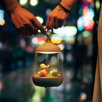 七夕情人节生日男送女生朋友闺蜜实用创意个性抖音热同款毕业季纪念品 微景观音乐灯