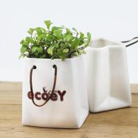 创意桌面迷你手提袋陶瓷办公室水培绿植多肉花盆植物笔筒小盆栽家居小摆件 纸袋