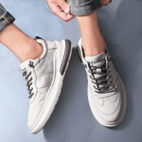 男鞋秋季运动小白潮鞋男士休闲鞋2019新款鞋子男韩版潮流百搭板鞋
