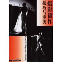 11摄影创作技巧与审美9787806861776LL