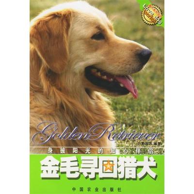 11金毛寻回猎犬978710910737322