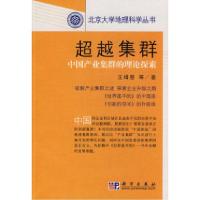 11超越集群-中国产业集群的理论探索22