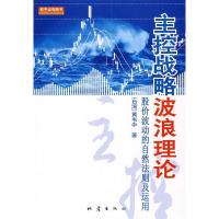 11主控战略波浪理论22