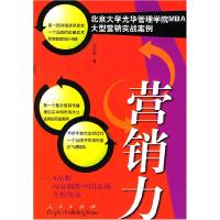 11营销力(A品牌闪电制胜中国市场全程实录)22