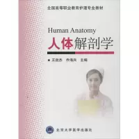 11人体解剖学22