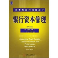 11银行资本管理(资本配置和绩效测评原书第2版)22