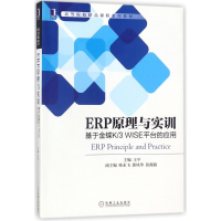 11ERP原理与实训:基于金蝶K/3 WISE平台的应用22