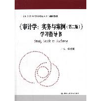 11审计学实务与案例(第二版)学习指导书22