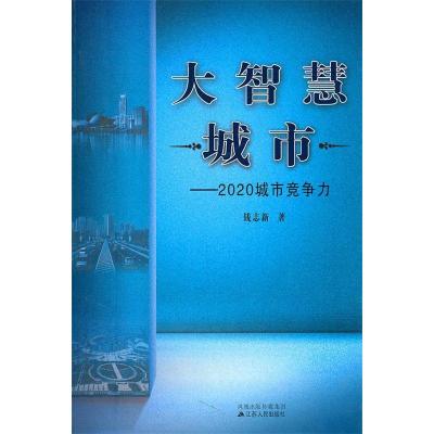 11大智慧城市-2020城市竞争力22