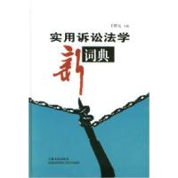 11实用诉讼法学新词典978720604405222