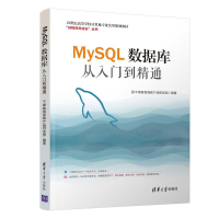 11MYSQL数据库从入门到精通978730250599022