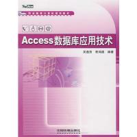 11Access数978711308154622