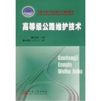 11高等级公路维护技术978711406433322