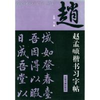 11赵孟頫楷书习字帖978750680526122