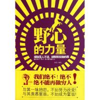 11野心的力量(揭秘富人不说却默默在做的事)978756404393322