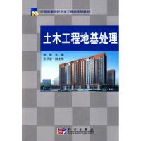 11土木工程地基处理978703024404822