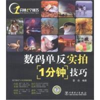 11数码单反实拍1分钟技巧-含1DVD978751232413822