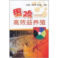 11蛋鸡高效益养殖978712212437122