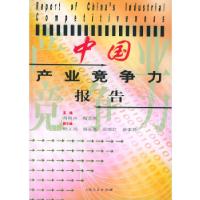 11中国产业竞争力报告978720805077822