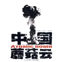 11中国蘑菇云978720506433422