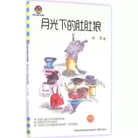 11月光下的肚肚狼(文字版修订本)978753135113922