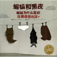 11蝙蝠和黑夜978753944798822