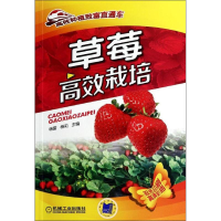 11草莓高效栽培978711146898122
