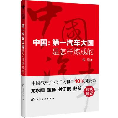 11中国:第一汽车大国是怎样炼成的978712213993122