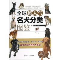 11全球超人气名犬分类图鉴(全彩收藏版)978712215269522