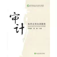 11审计软件应用实训教程978751410401122