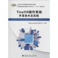 11TinyOS操作系统开发技术及实践978756063315222