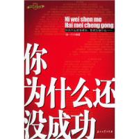 11你为什么还没成功——早知道你是成功书系978750214903122