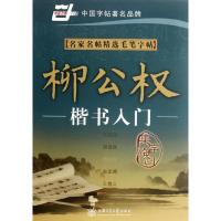 11名家名帖精选毛笔字帖.柳公权楷书入门978731305206322