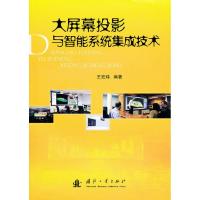 11大屏幕投影与智能系统集成技术978711806864122